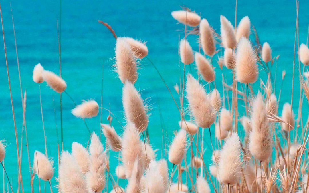 Images projetées du 21 septembre 2021