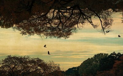 Albarrán Cabrera #2