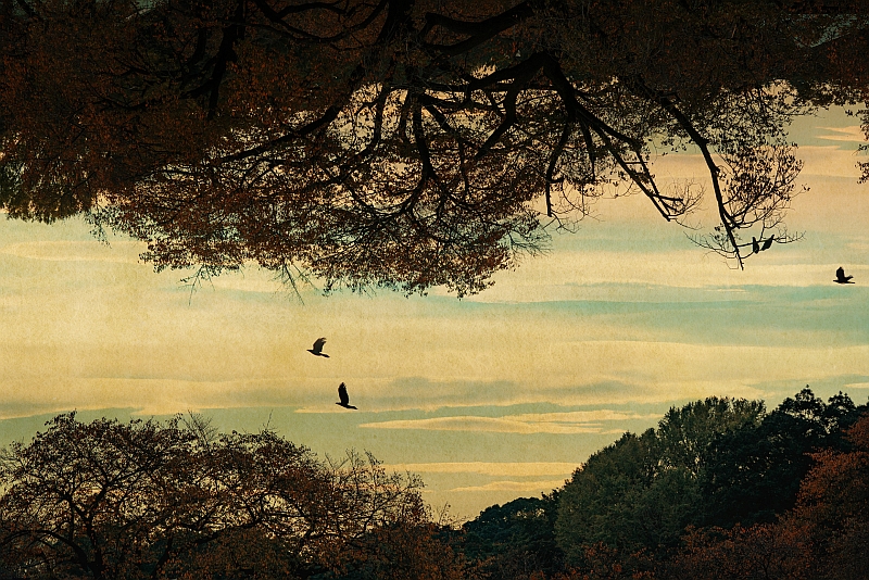 Albarrán Cabrera #2