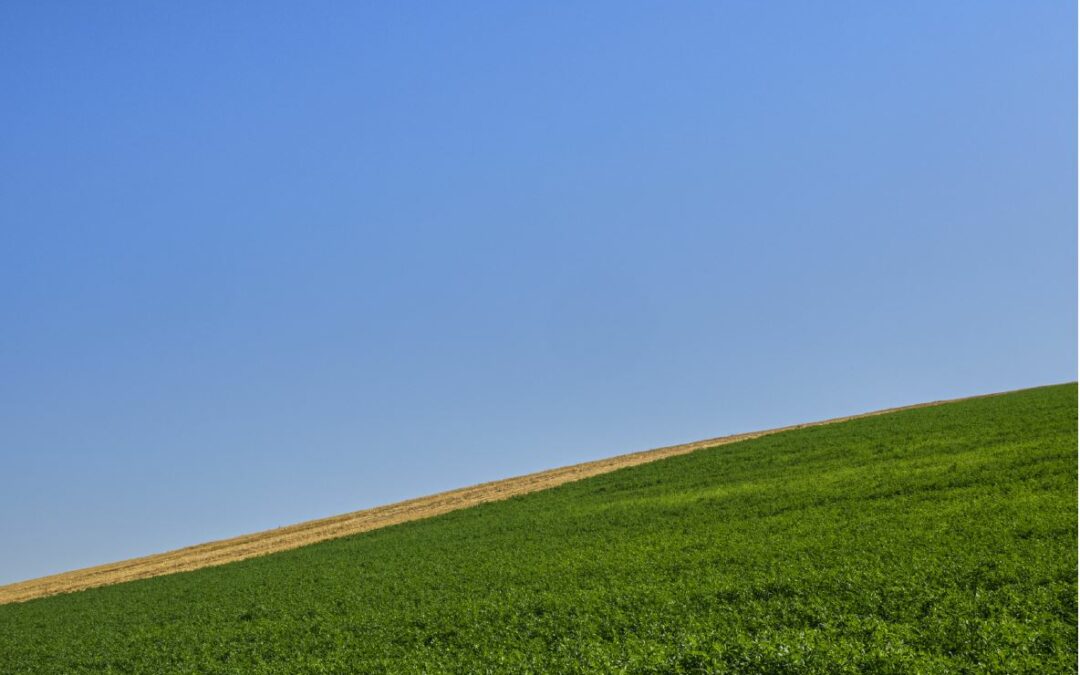 Structurer par la couleur