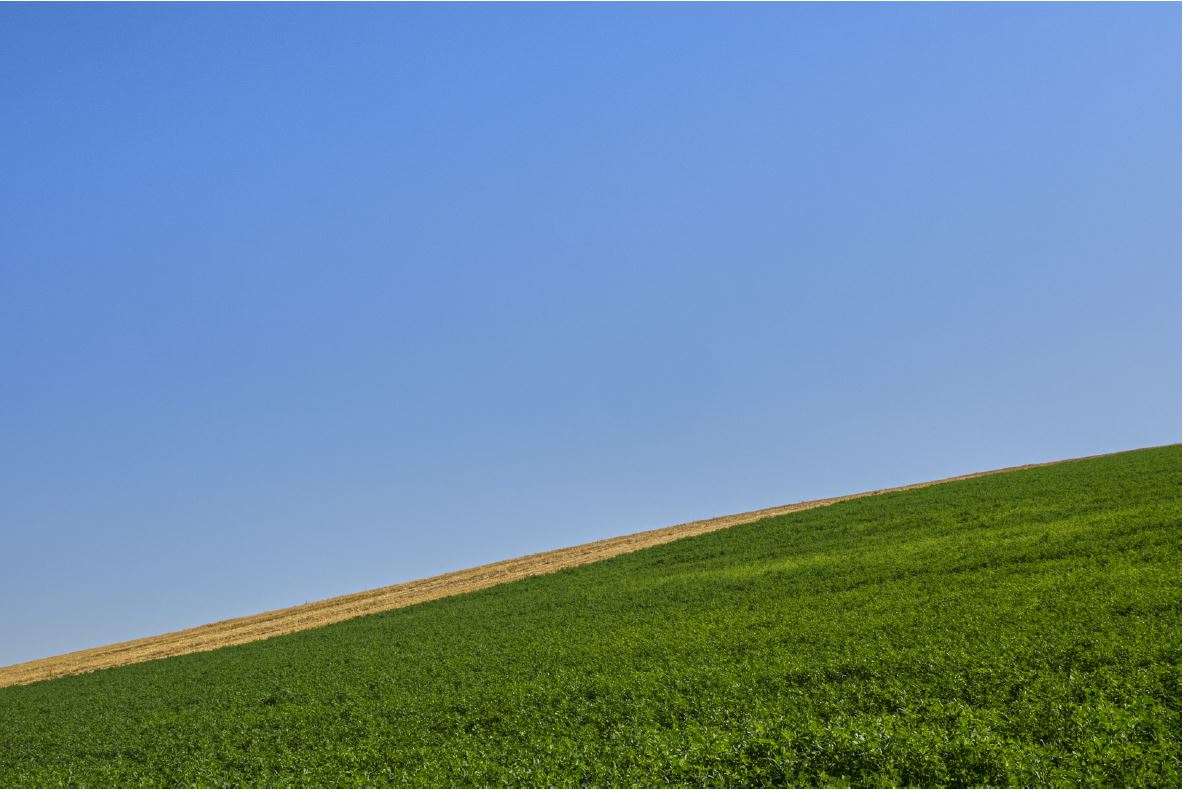 Structurer par la couleur